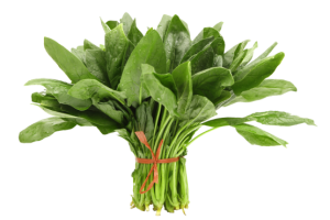 Spinach PNG-79151